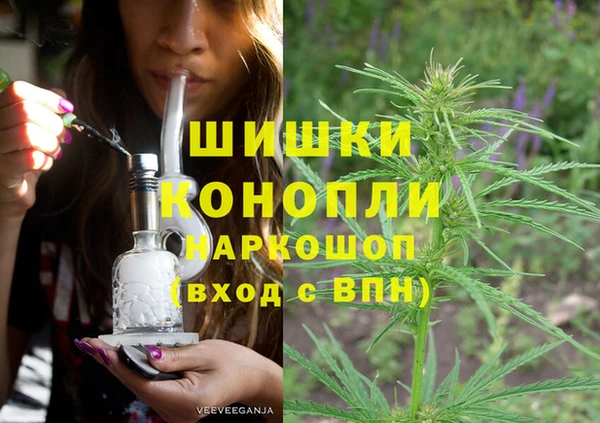 прущие грибы Заволжье
