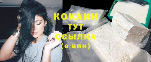 прущие грибы Заволжье