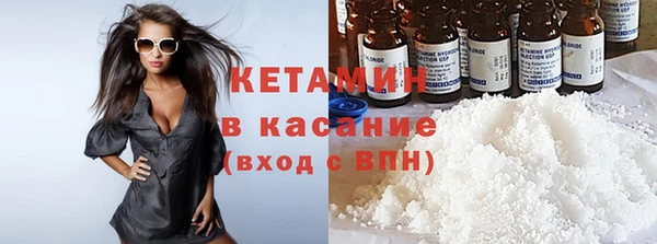 прущие грибы Заволжье