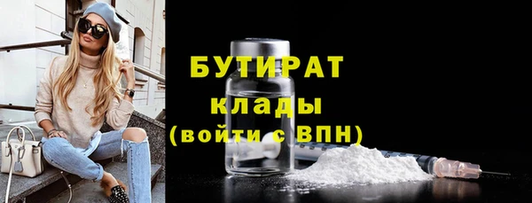 прущие грибы Заволжье