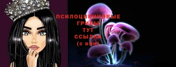 таблы Заводоуковск