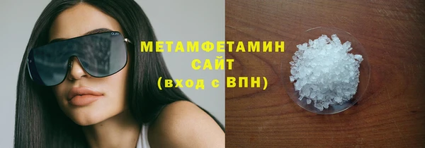 прущие грибы Заволжье