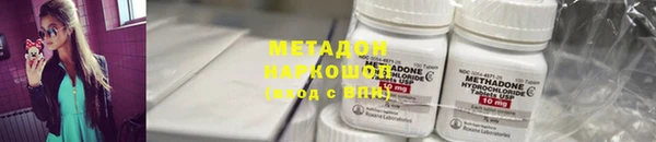 прущие грибы Заволжье