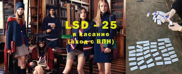 прущие грибы Заволжье