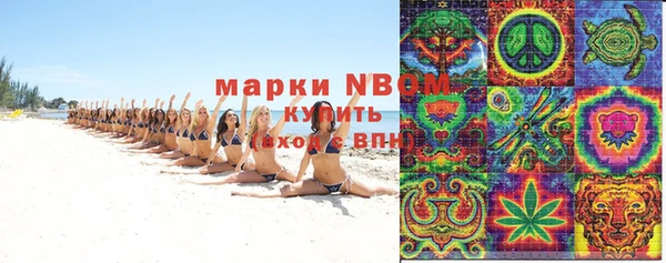 прущие грибы Заволжье