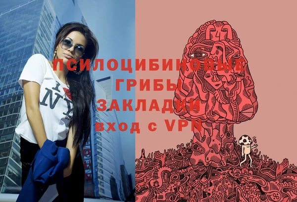 таблы Заводоуковск