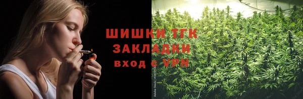 прущие грибы Заволжье