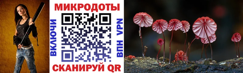 Псилоцибиновые грибы ЛСД  Купить  Узловая 